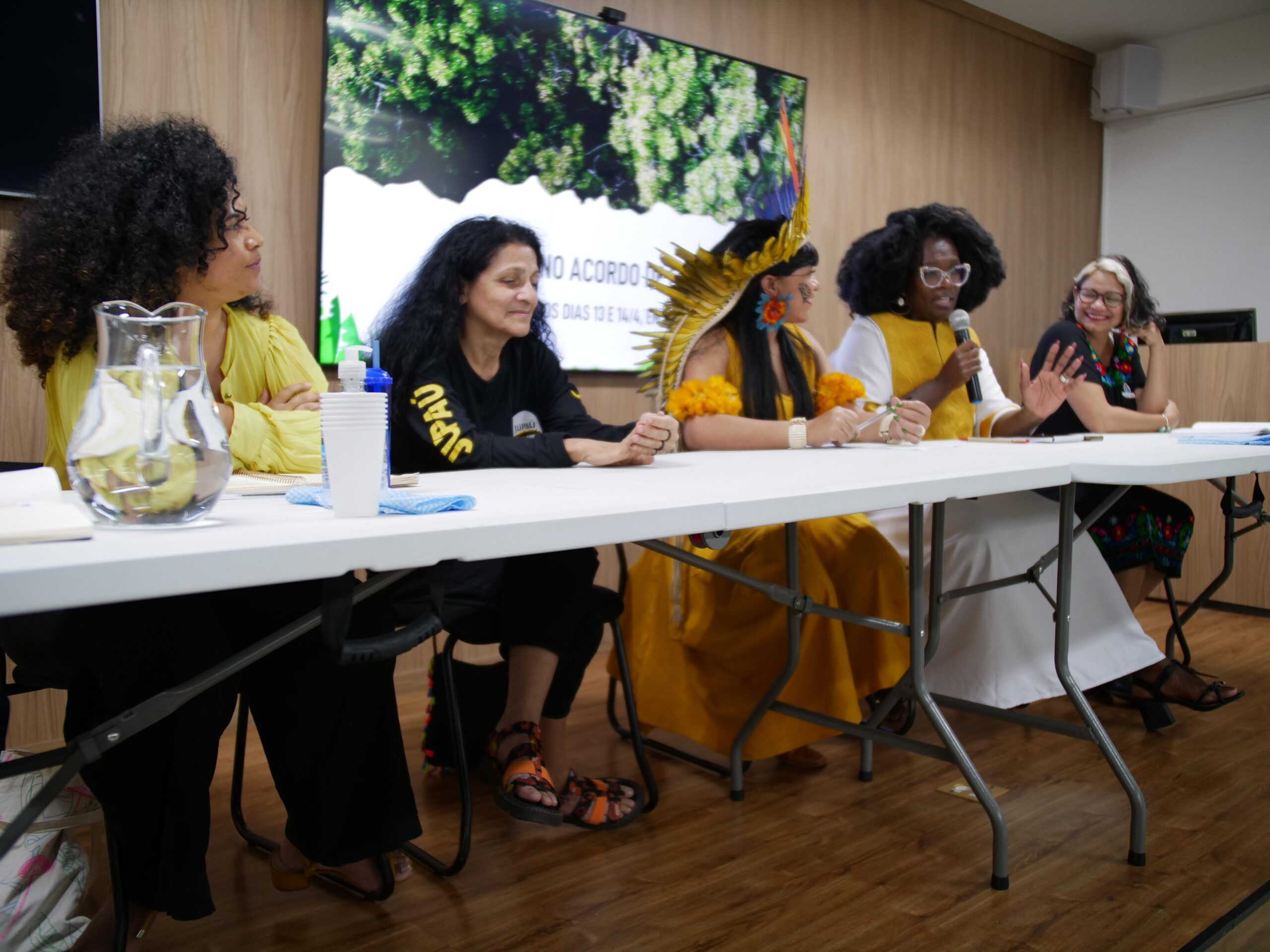 Mesa com as defensoras ambientais Célia Xakriabá (PSOL-MG), da Frente Parlamentar em Defesa dos Povos e dos Direitos Indígenas, Selma Dealdina, da Conaq, Claudelice Santos, do Instituto Zé Claudio e Maria, Neidinha Suruí, da Associação Kanindé, e Alane Silva, advogada popular da Terra de Direitos.